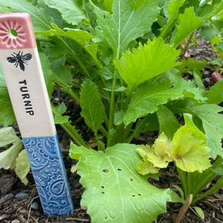 Order Here Out of Stock Vegetable and Herb Garden Markers